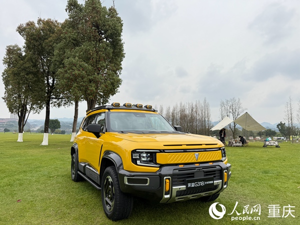 深藍G318無憂穿越版。人民網記者 胡虹攝