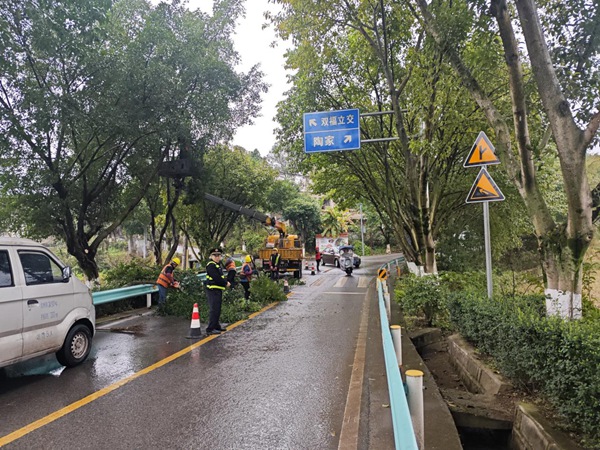 當地對縣道X702觀玉路沿線茂盛的行道樹進行修剪。九龍坡區交通運輸委員會供圖