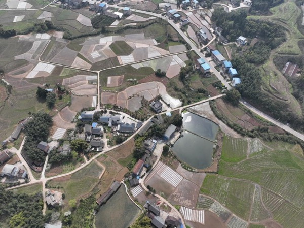 重慶梁平區四方村1號臺區配網改造工程智能化驗收現場。梁燕攝