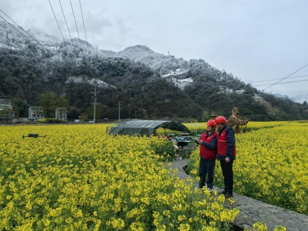 3月28日，國家電網重慶電力（城口營銷）紅巖共產黨服務隊隊員劉陽、王征在枇杷村了解春耕春種情況，排查線路設備隱患。陳鑒森攝
