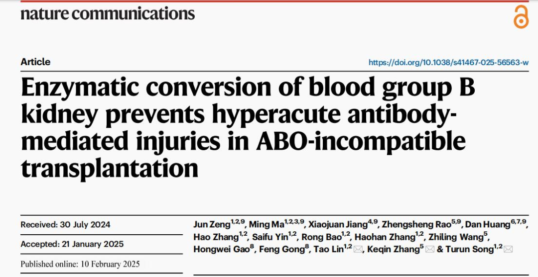 論文截圖。 重醫附二院供圖