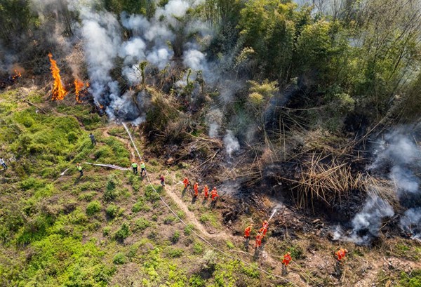 永川區2025年森林火災應急演練現場。國網永川供電公司供圖