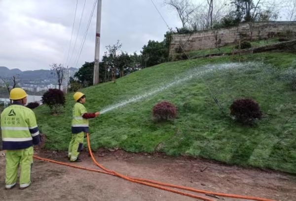 興家路邊坡清理后。李家沱街道供圖
