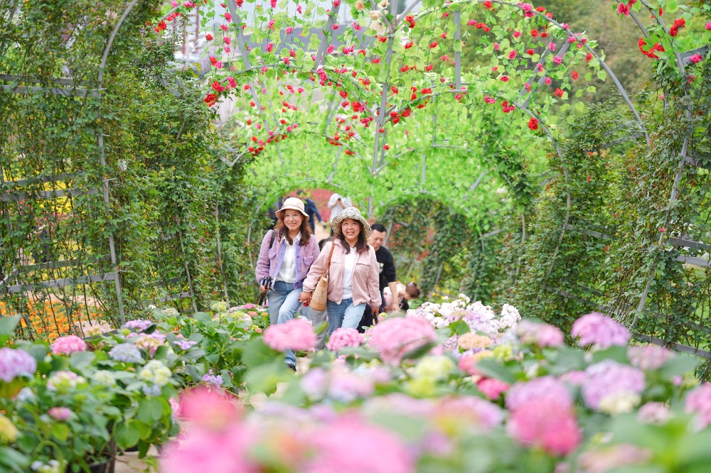 2025年4月6日，北碚區復興街道漫花山田農業公園，游客在此踏青賞花。特約攝影 秦廷富