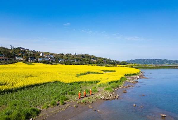 電力員工開展防外破特巡。國網重慶永川供電公司供圖