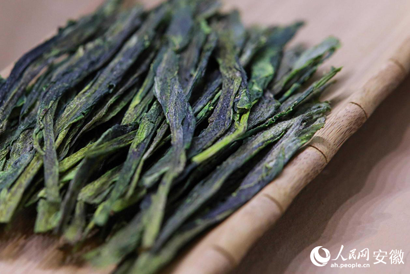 中國十大名茶——太平猴魁。人民網記者 張俊攝