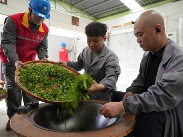 茶廠內，綦山茶茗非遺傳承人屈波帶著徒弟在電鍋里炒制新茶。袁巧攝