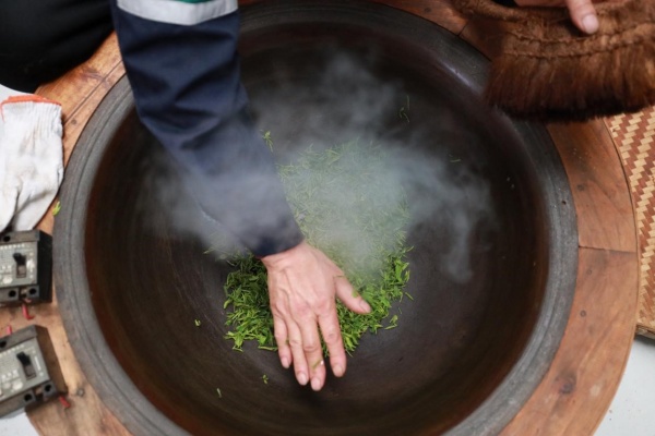 屈波在用電鐵鍋里炒制新茶。袁巧攝