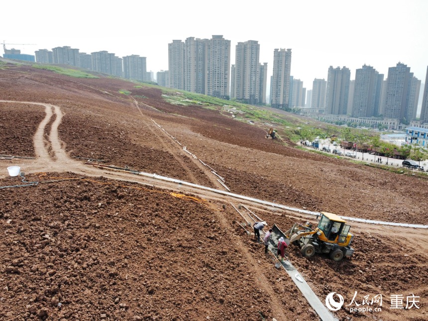 工人正在平整后的土地上修建簡易人行步道。人民網記者 劉政寧攝