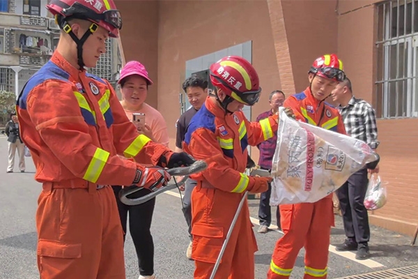 捕蛇現場。重慶市涪陵區消防救援局供圖