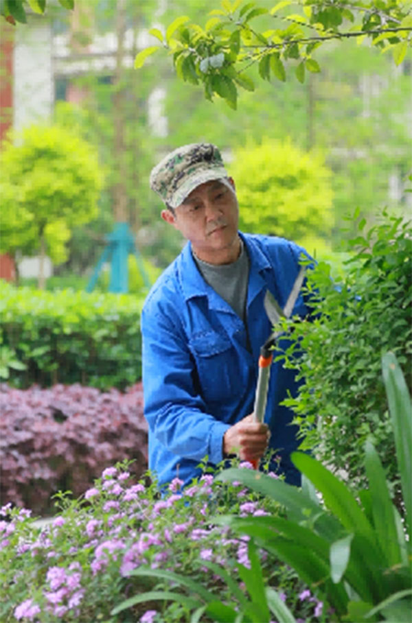 招商社區植被修剪與補栽。招商積余重慶公司供圖