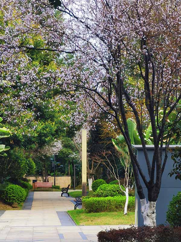 招商社區春日美景。招商積余重慶公司供圖