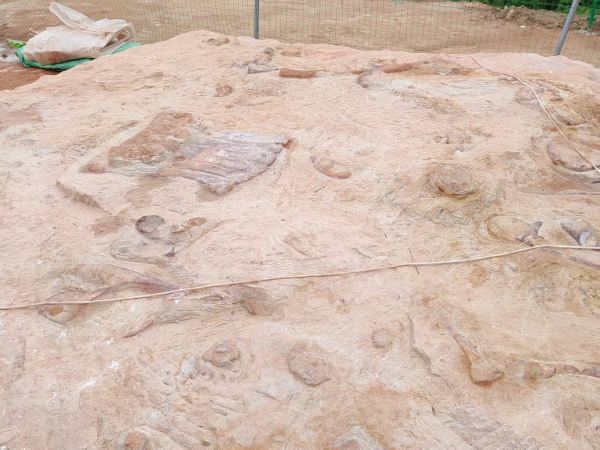 黔江恐龍化石發掘點位之一。任峰攝