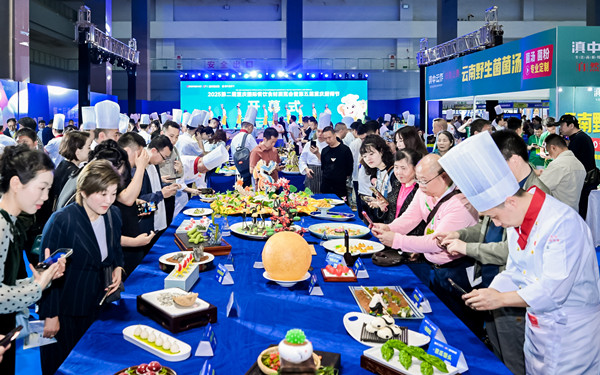 活動現場。主辦方供圖