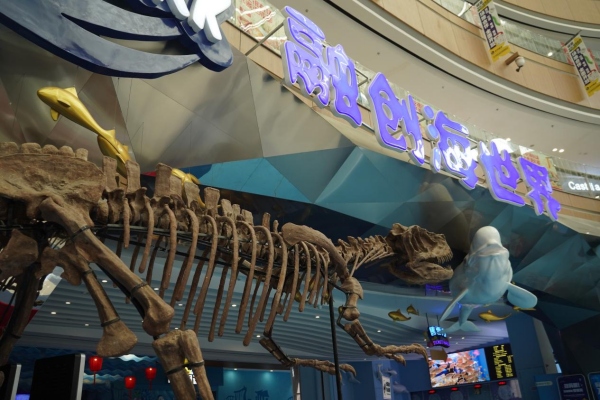 活動現場。融創文旅城供圖