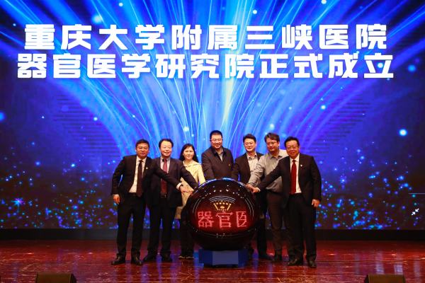 論壇現場?；顒又鬓k方供圖