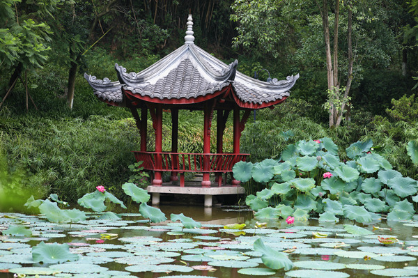 荷香亭韻，校園里的生態雅境。重慶理工大學供圖