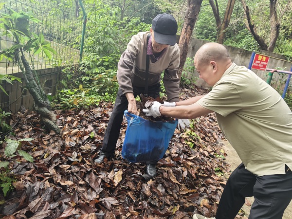 志愿者在盤溪河清掃落葉。龍山街道供圖