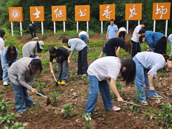 理學院師生在農場勞作。重慶理工大學供圖