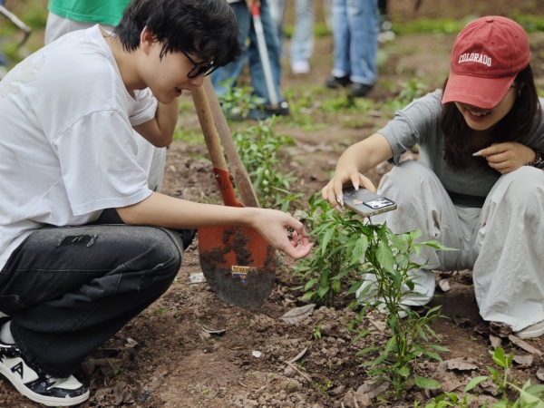 理學院學生利用手機軟件測量種苗高度。重慶理工大學供圖