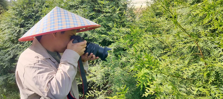 蔡松余拍照記錄崖柏生長情況。周小平攝