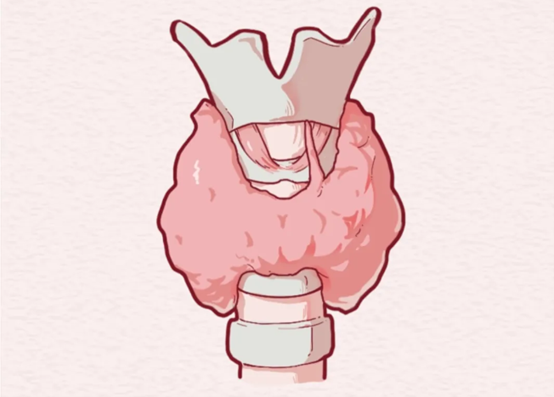 示意圖。重慶松山醫院供圖