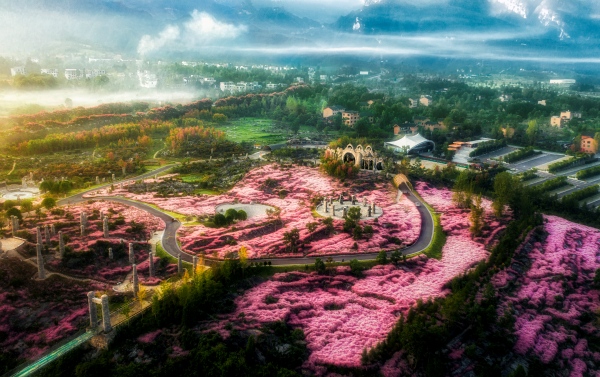 疊石花谷。酉陽縣委宣傳部供圖