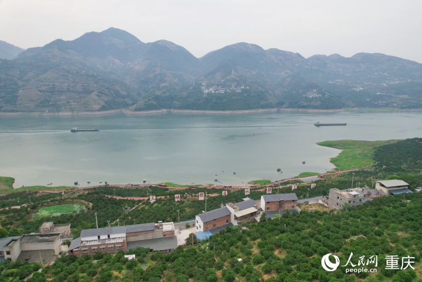 位于長江上游南岸的三沱村。人民網記者 劉政寧攝