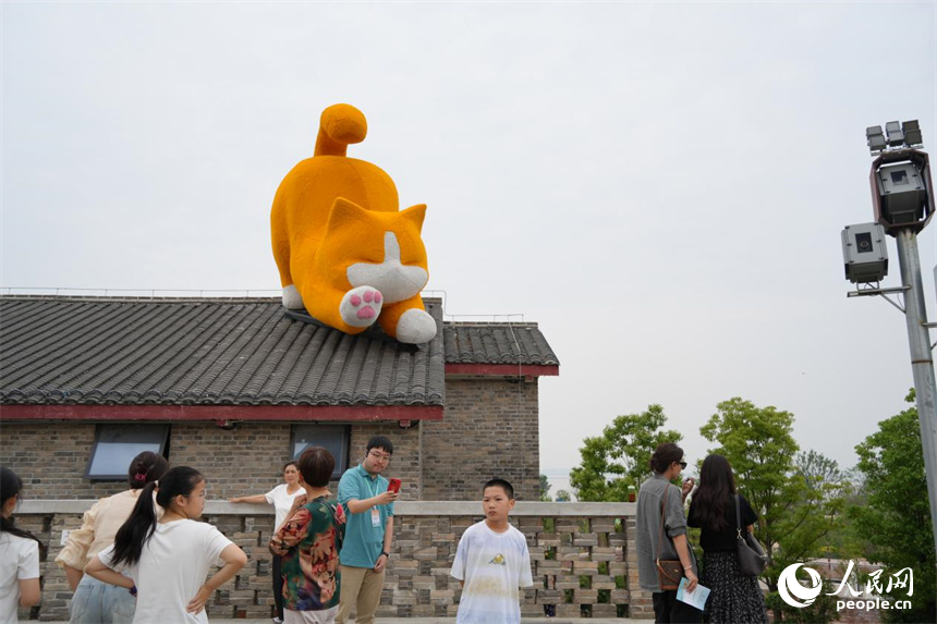 橘貓趴在屋頂憨態可掬。人民網 劉汕攝