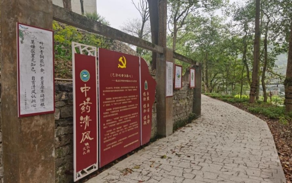 研究所中藥清風長廊一角。重慶市藥物種植研究所供圖