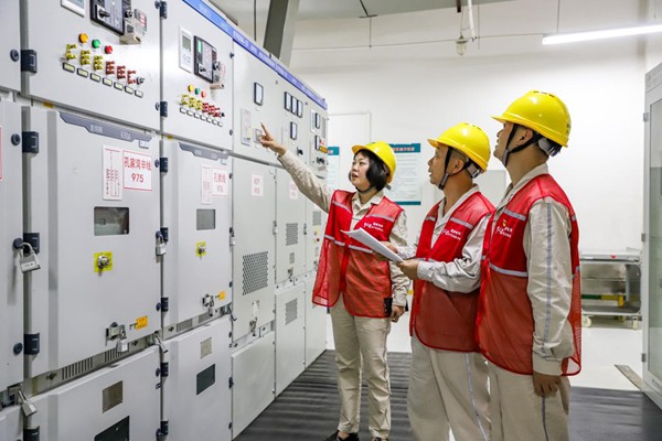 電力人員對配電設備進行安全檢查。國網重慶永川供電公司供圖