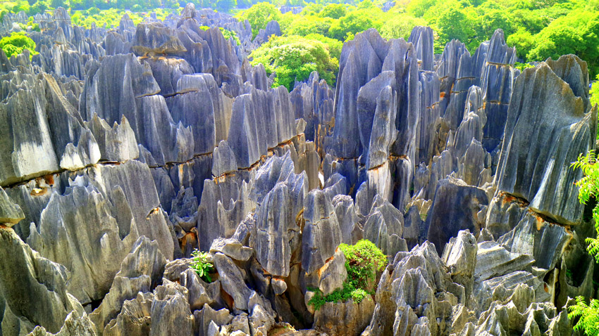 大石林。石林風景名勝區管理局供圖