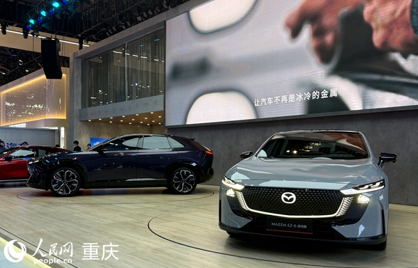 車展現場。人民網記者 胡虹攝