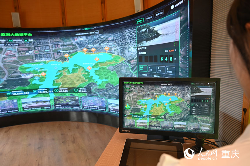 數字賦能助力鳥類保護。人民網 鄒樂攝