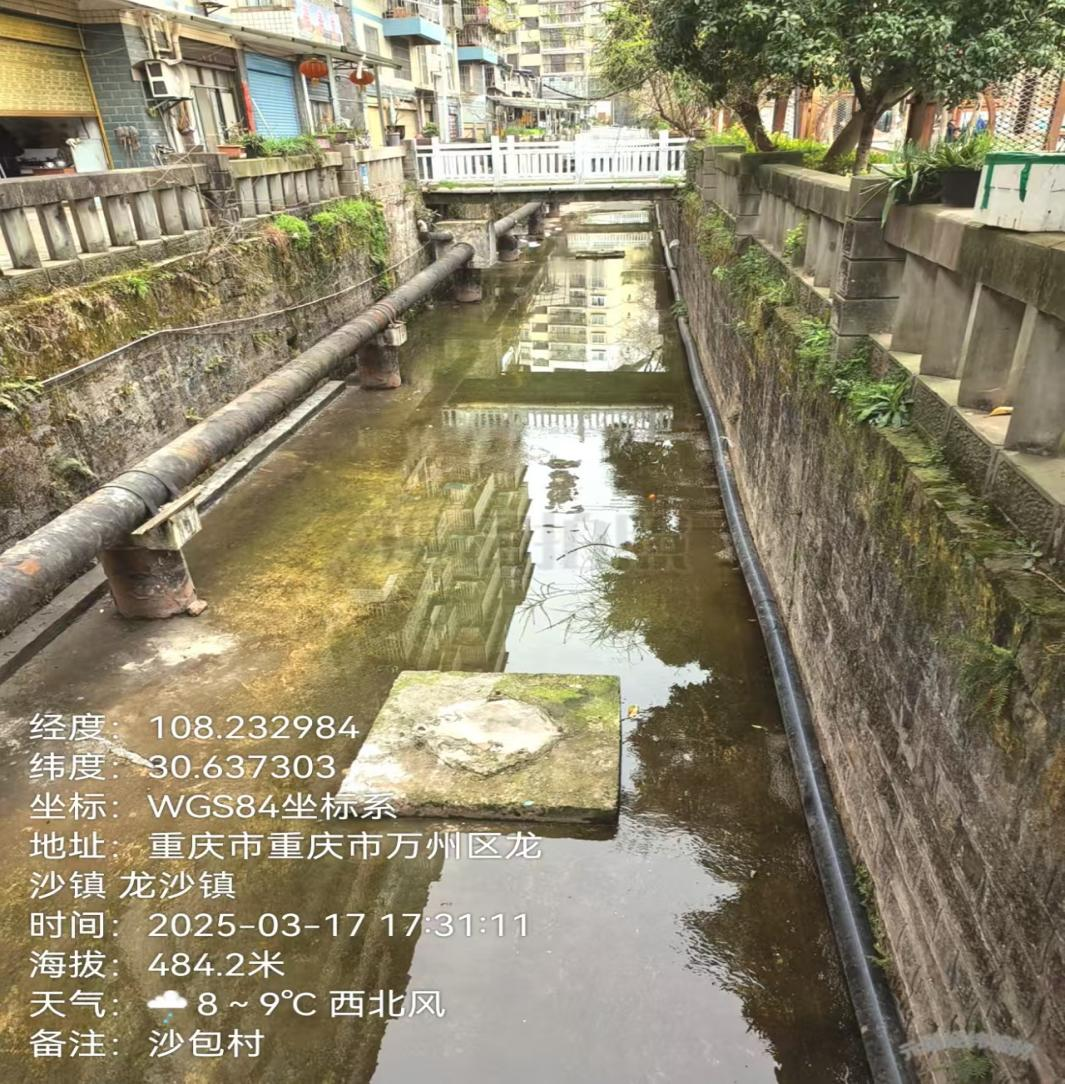2025年3月現場照片。重慶市生態環境局供圖