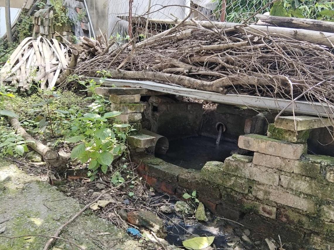 村莊化糞池溢流。生態環境部供圖