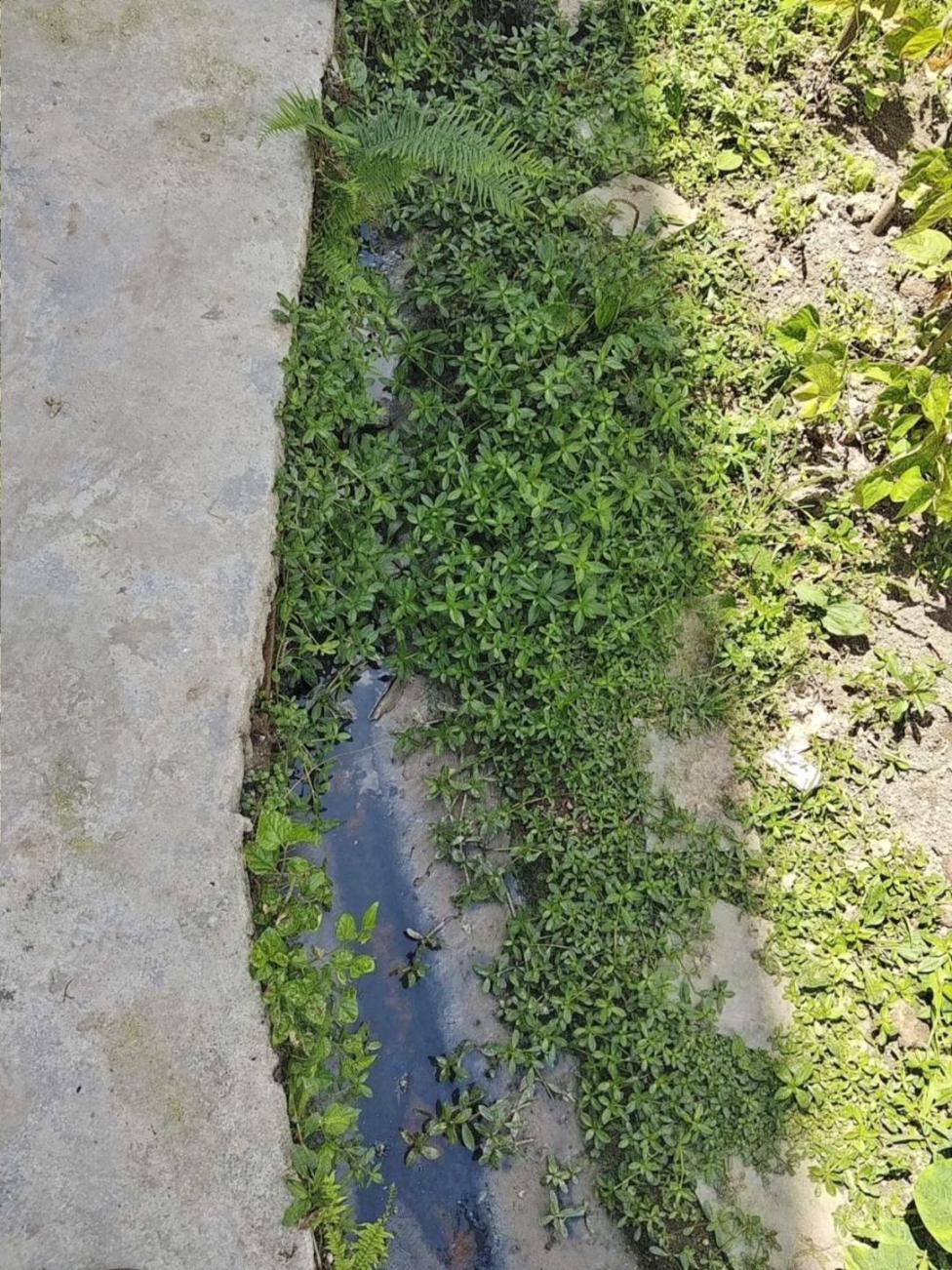 村莊污水橫流。生態環境部供圖