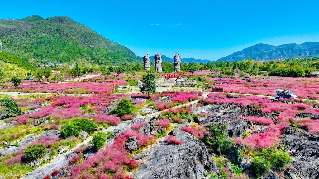 酉陽利用石漠化土地打造的疊石花谷景區。重慶市林業局供圖