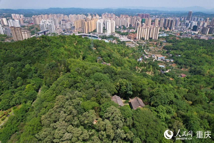 藏在山林間的大足南山石刻。人民網 鄒樂攝