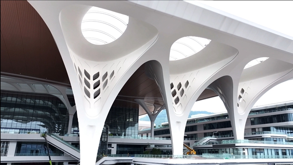 多曲面樹形柱。中鐵建工集團供圖