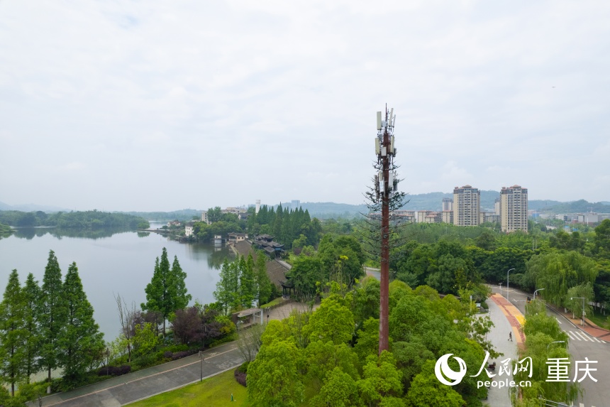 位于雙桂湖國家濕地公園的5G-A基站。人民網 鄒樂攝