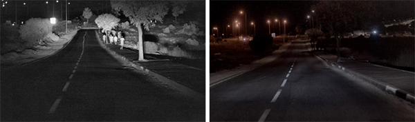 在黑暗環境中可清晰識別路兩側樹木及障礙物。中科搖櫓船供圖