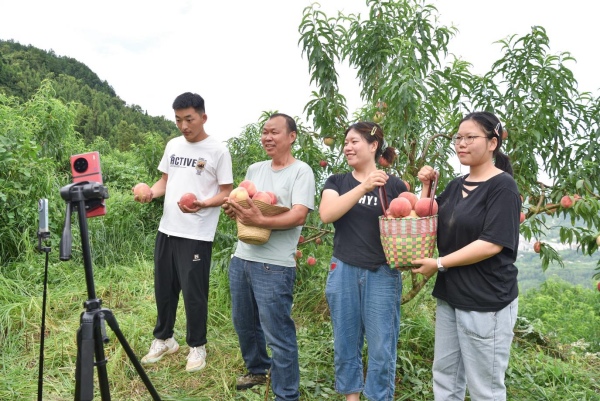 主播們正在云陽縣渠馬鎮促進村桃園直播售賣晚桃。渠馬鎮供圖