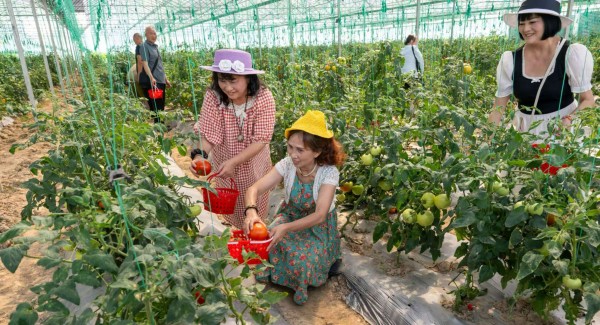 感受采摘樂趣。璧山區委宣傳部供圖