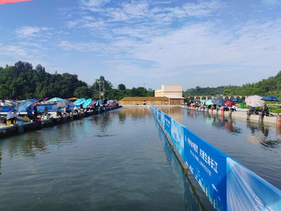 垂釣大賽比賽現場。重慶市休閑垂釣協會供圖