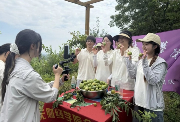 實踐團成員詳細介紹金鵝村奈李。重慶財經學院供圖