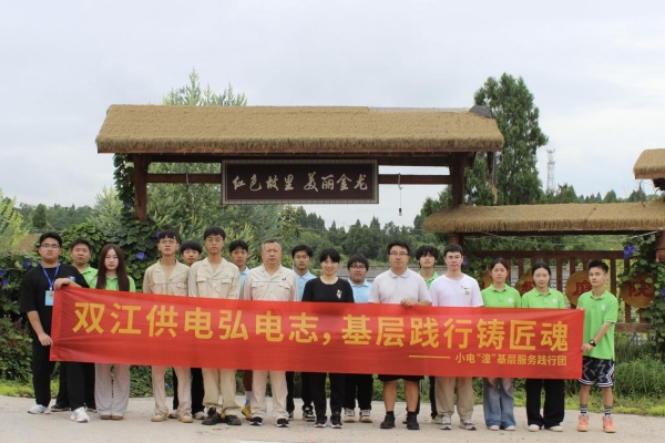 實踐團合影。重慶電力高等?？茖W校供圖