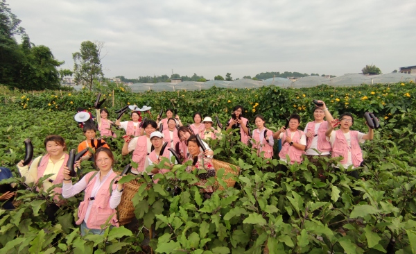 團隊成員幫村民采摘農作物。重慶移通學院供圖