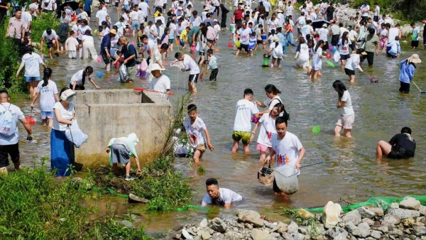 抓魚活動現場。東安鎮供圖