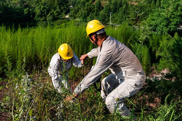 電力人員翻山越嶺巡檢線路。國網重慶永川供電公司供圖